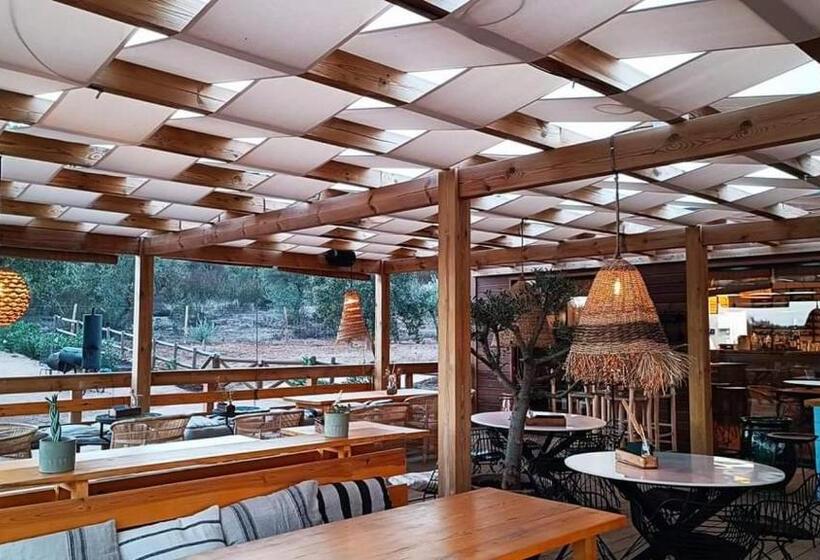 A Casa Do Mestre Lau   No Coração Do Alentejo