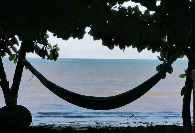 הוסטל Pousada Zen Cumuruxatiba