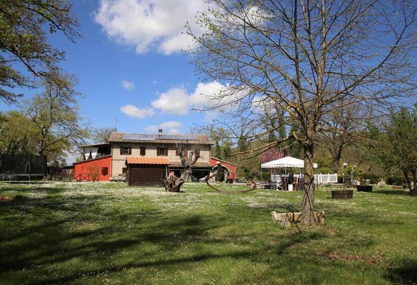 Appartamenti Il Palazzaccio