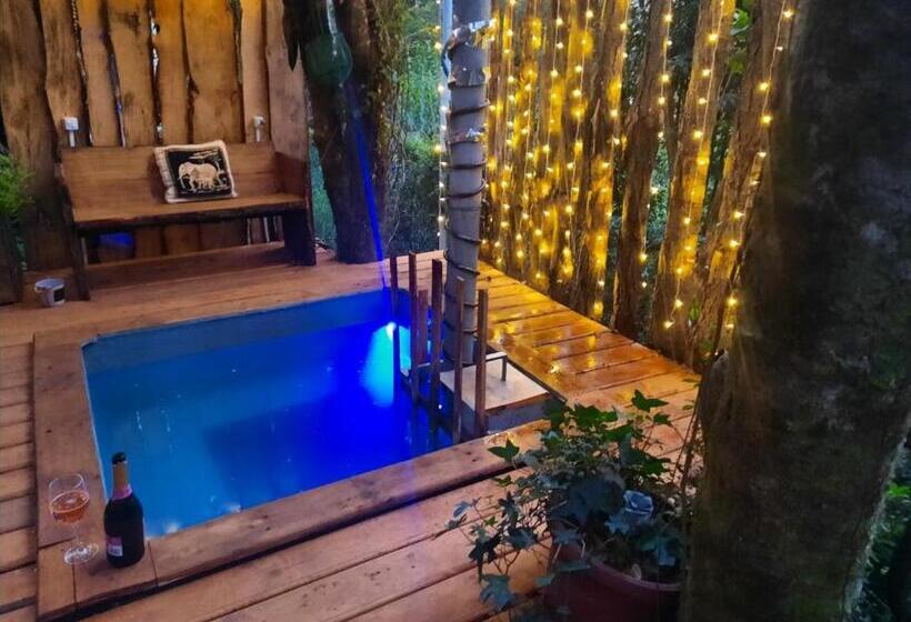 Cabaña Con Tinaja En Bosque Valdiviano