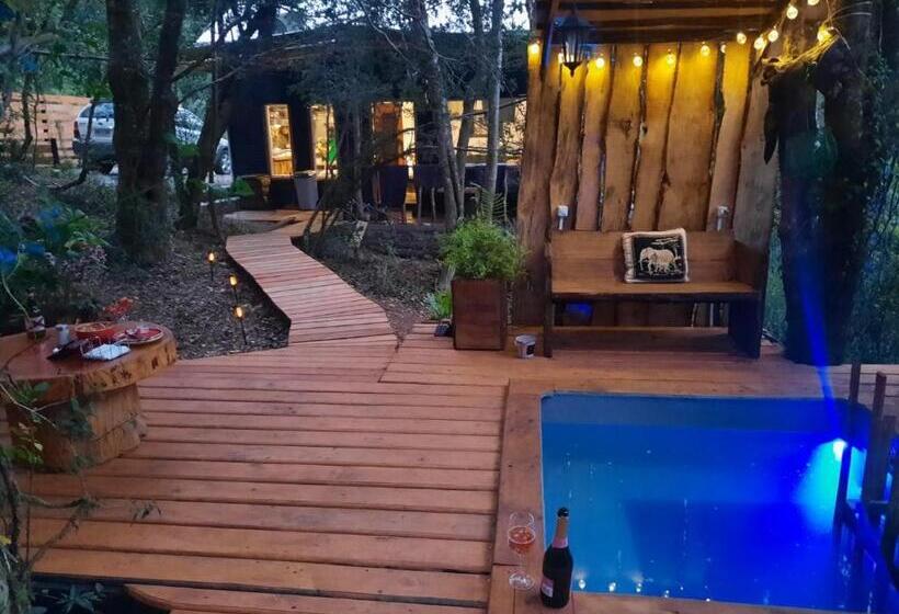 Cabaña Con Tinaja En Bosque Valdiviano