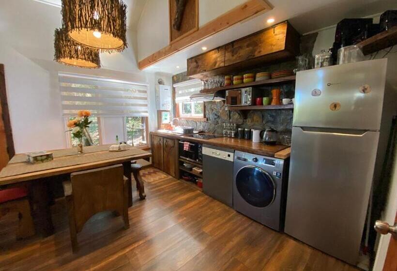 Cabaña Con Tinaja En Bosque Valdiviano