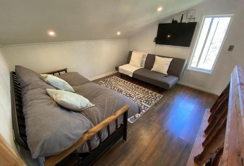 Cabaña Con Tinaja En Bosque Valdiviano