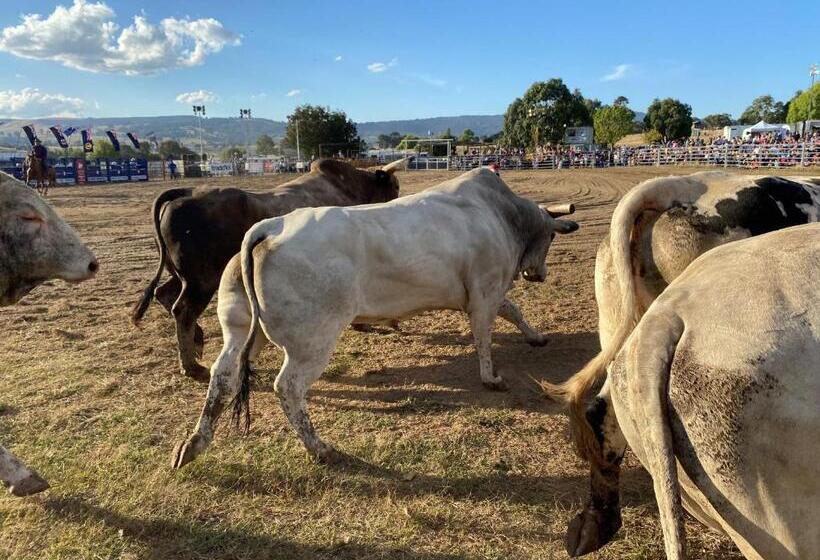 Cedar Apartments   Merrijig