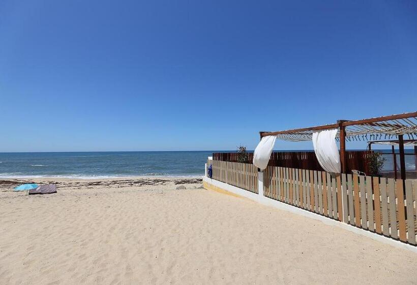 Flh Gaia Valadares Comfy Apartment