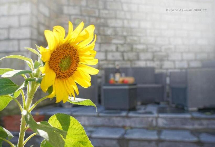 Gîte Familial Ferme Des Aujes Falaen
