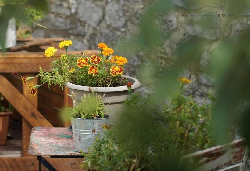 Gîte Familial Ferme Des Aujes Falaen
