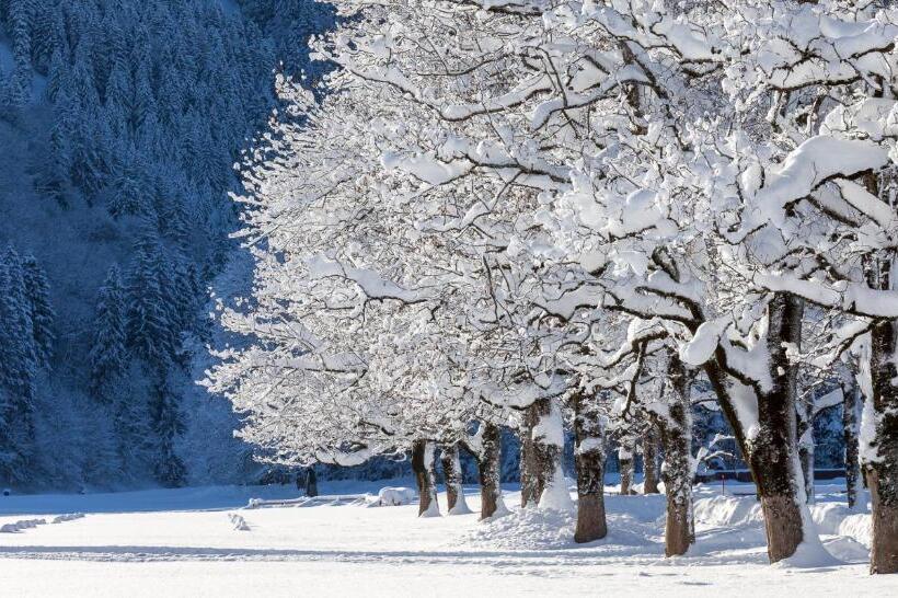 Haus Am Teich   Fewo Relax Mit Bergbahn Unlimited