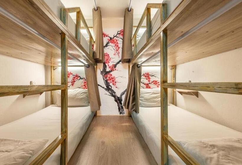 호텔 โรงแรมชิบะรูม นครราชสีมา สาขามหาวิทยาลัยเทคโนโลยีสุรนารี