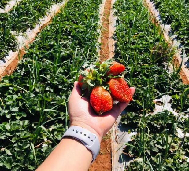 Отель Heavens Edge Resort