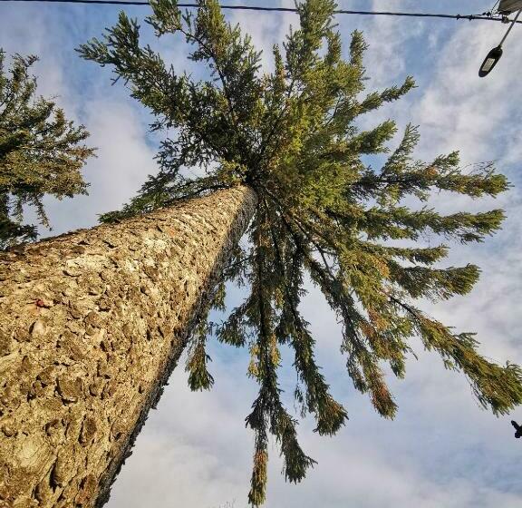 ホテル Jugul țăranului Agropensiune Polovragi, Gorj