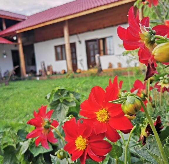 ホテル Jugul țăranului Agropensiune Polovragi, Gorj