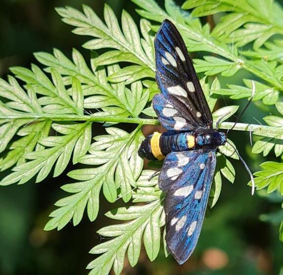 ホテル Jugul țăranului Agropensiune Polovragi, Gorj