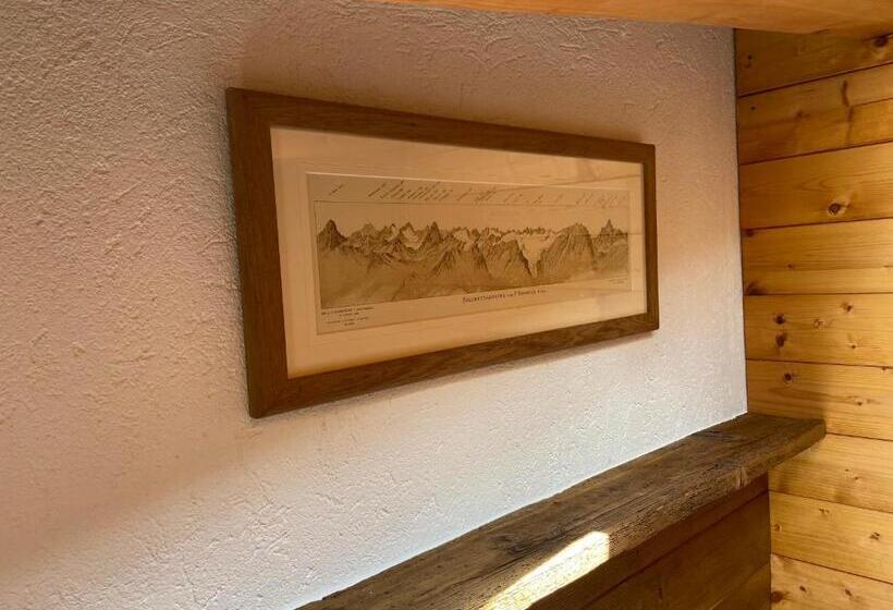 La Guida E L Architetto