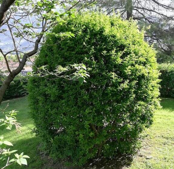 La Vache Qui Roule  Cir Charvensod 0037