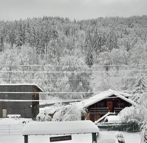 Pensiunea La Padure Cheia, Prahova