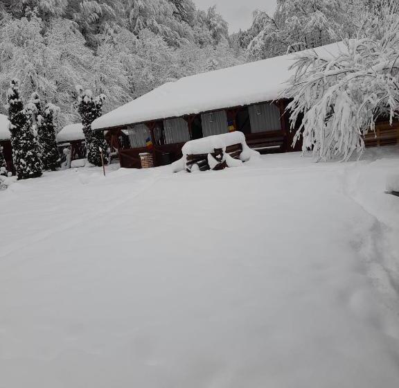 Pensiunea La Padure Cheia, Prahova