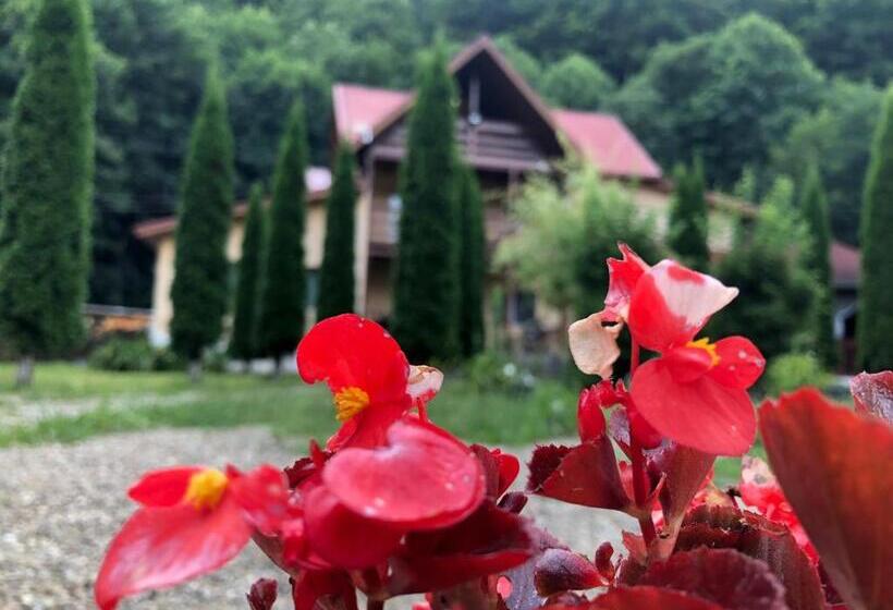 Pensiunea La Padure Cheia, Prahova