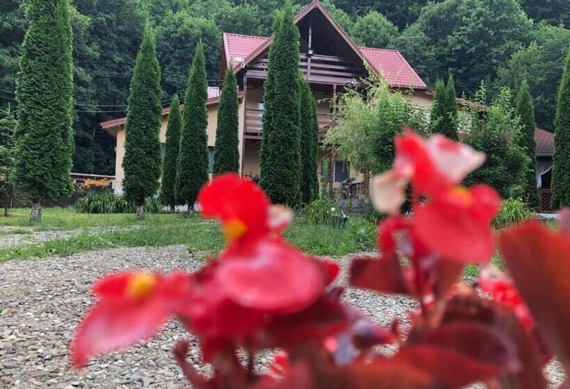 Pensiunea La Padure Cheia, Prahova