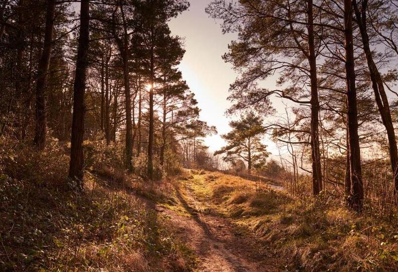 Quiet Edwardian Era House, Painswick