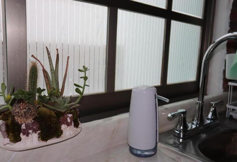 Suites Incoreli 1, Centro Pachuca De Soto