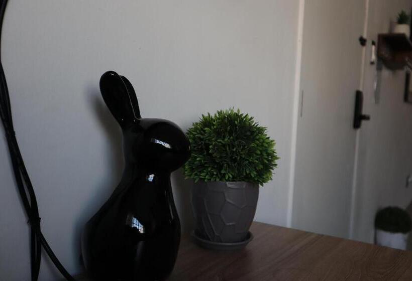 Suites Incoreli 1, Centro Pachuca De Soto