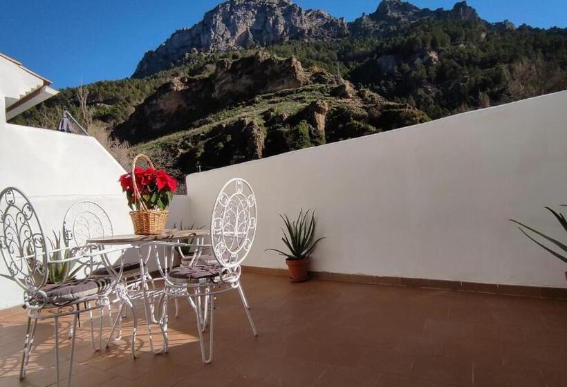 Alojamiento Yolanda Cazorla