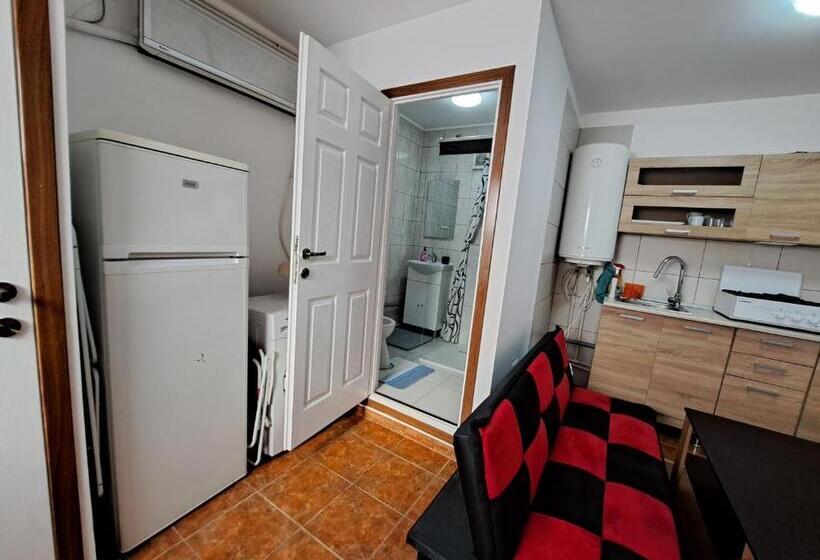 Apartament Un Dormitor și Living La Curte Corbu