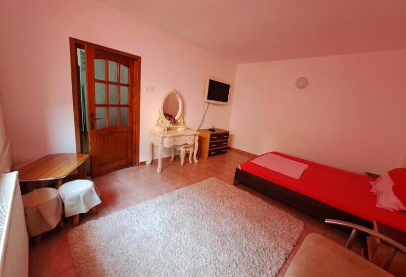 Apartament Un Dormitor și Living La Curte Corbu