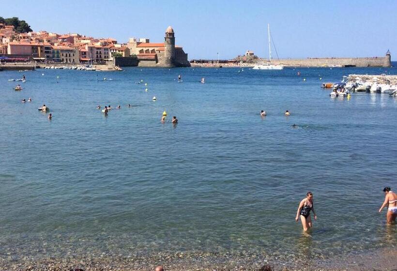Appartement 3 Pièces Et Jardin
