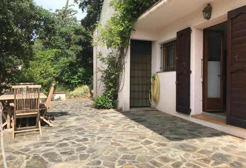 Appartement 3 Pièces Et Jardin