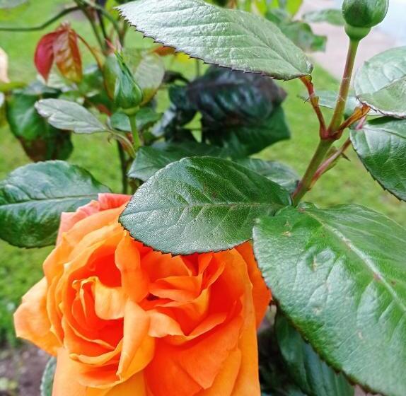 Bed and Breakfast Au Coeur Du Marais