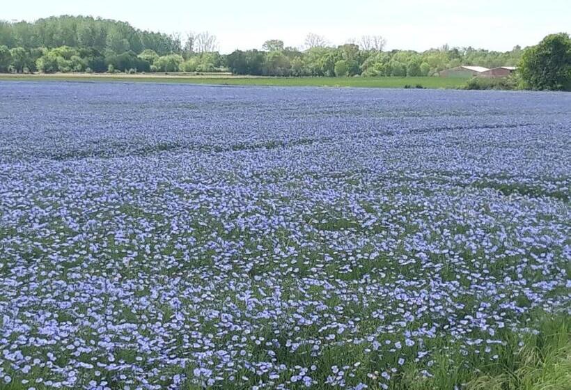 Bed and Breakfast Au Coeur Du Marais
