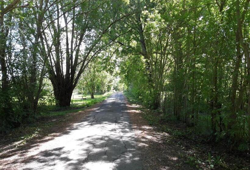 Bed and Breakfast Au Coeur Du Marais