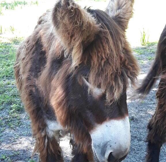 Bed and Breakfast Au Coeur Du Marais