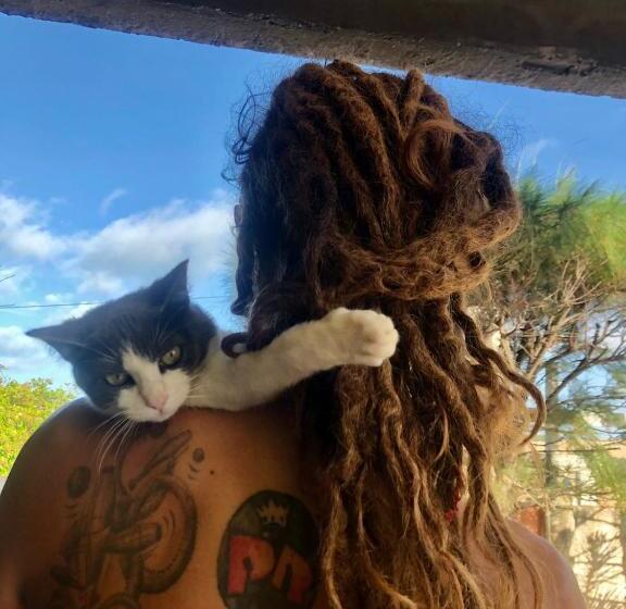 هاستل Canoa Roots Camping