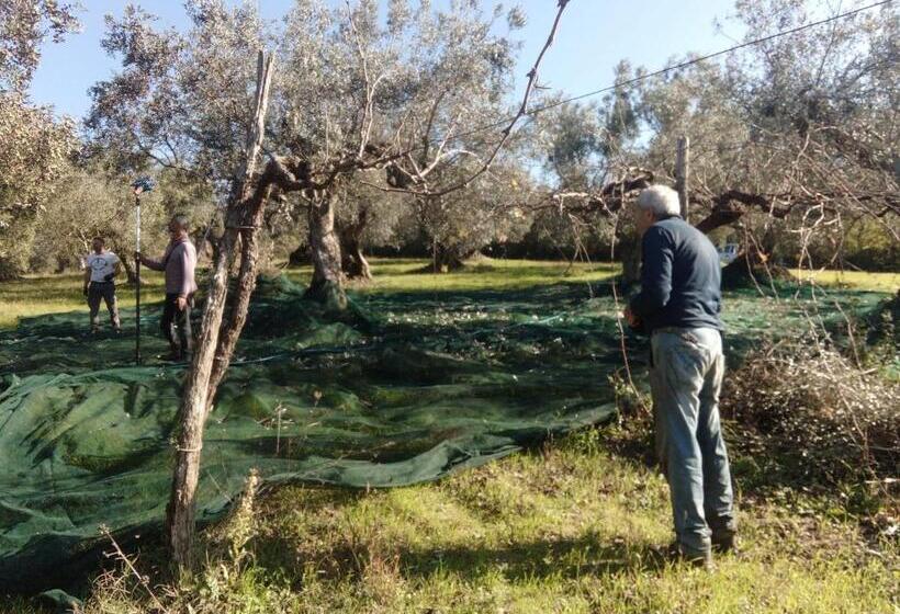 Casa Vacanze Acquaviva