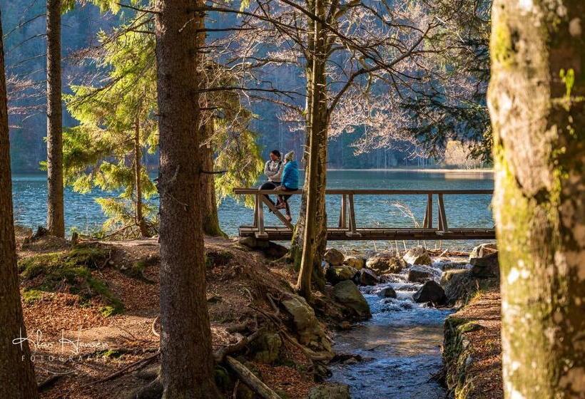 Ferienwohnung Auch Am Berg, Todtnauberg, Feldberg