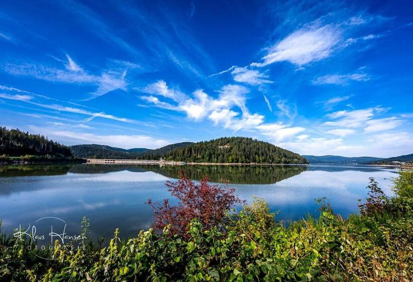 Ferienwohnung Auch Am Berg, Todtnauberg, Feldberg