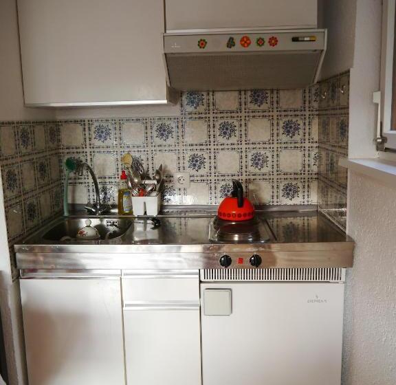 Ferienwohnung Auch Am Berg, Todtnauberg, Feldberg