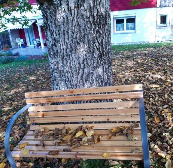Ferienwohnung Im Seidlerhof Mit Terrasse