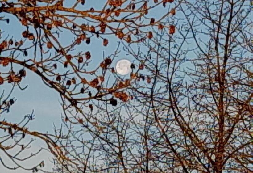 Ferienwohnung Im Seidlerhof Mit Terrasse