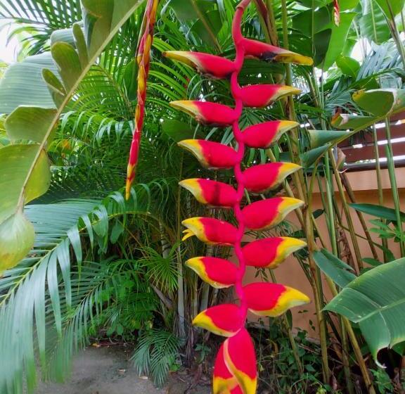 Hotelli ชาลีรีสอร์ท ชุมพร