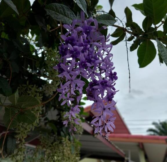 Hotelli ชาลีรีสอร์ท ชุมพร