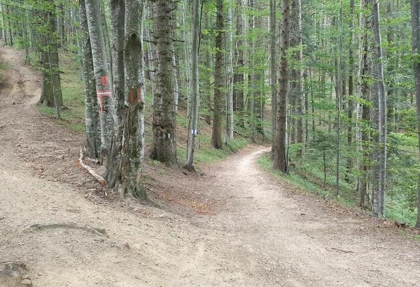 ホテル Apartament 2706 Alpin Resort, Etaj 7, Poiana Brașov