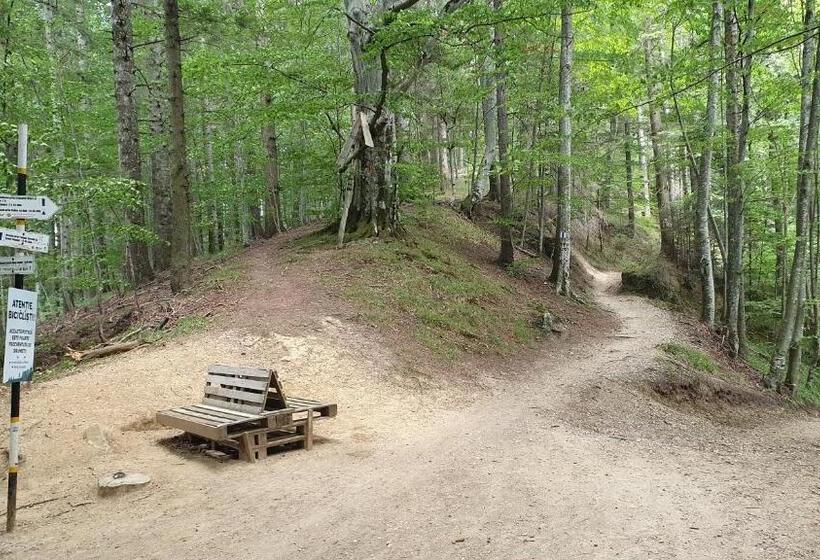 ホテル Apartament 2706 Alpin Resort, Etaj 7, Poiana Brașov