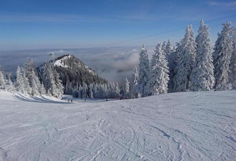 ホテル Apartament 2706 Alpin Resort, Etaj 7, Poiana Brașov