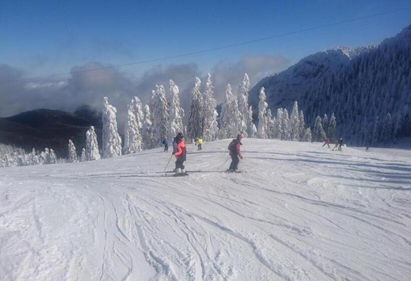 ホテル Apartament 2706 Alpin Resort, Etaj 7, Poiana Brașov