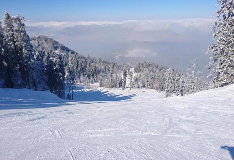 ホテル Apartament 2706 Alpin Resort, Etaj 7, Poiana Brașov