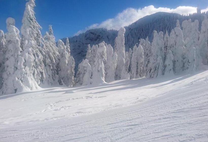 ホテル Apartament 2706 Alpin Resort, Etaj 7, Poiana Brașov